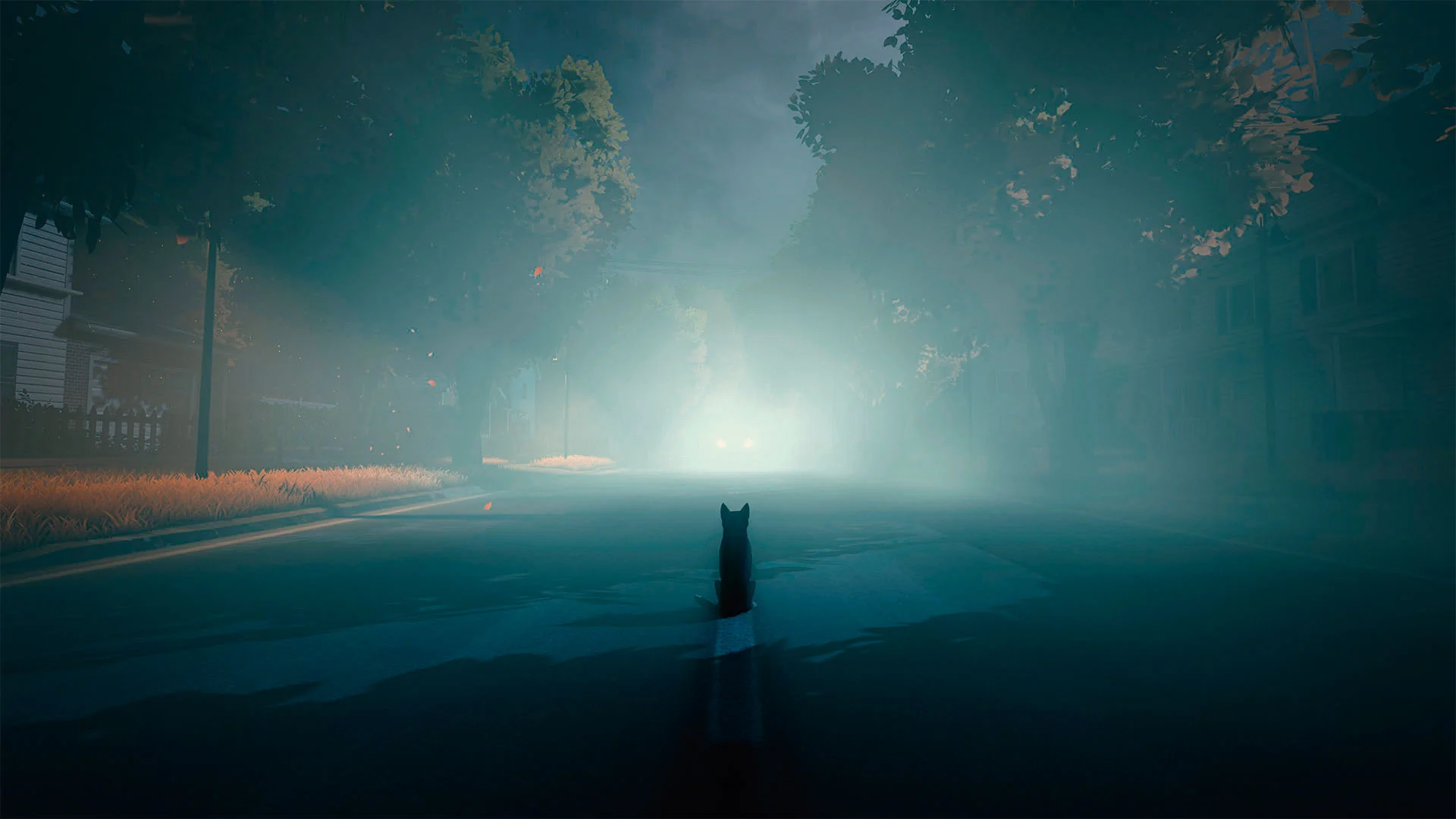 Immagine prodotto 8